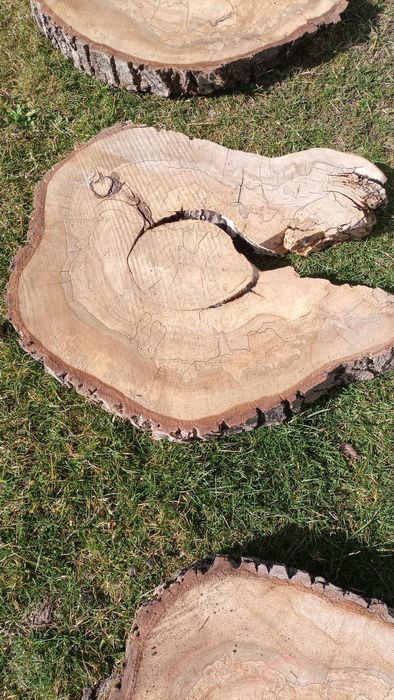 Plastry orzech wloski 26 szt.