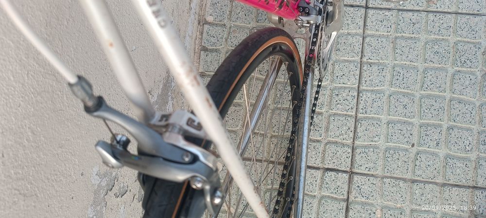 Bicicleta CHESINI olimpic