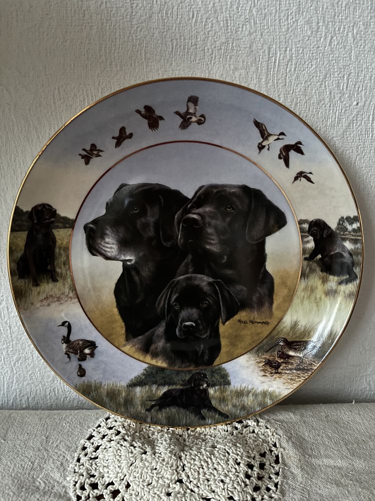 Elegancki Royal Doulton Labrador Pies Talerz Porcelanowy Vintage Obraz