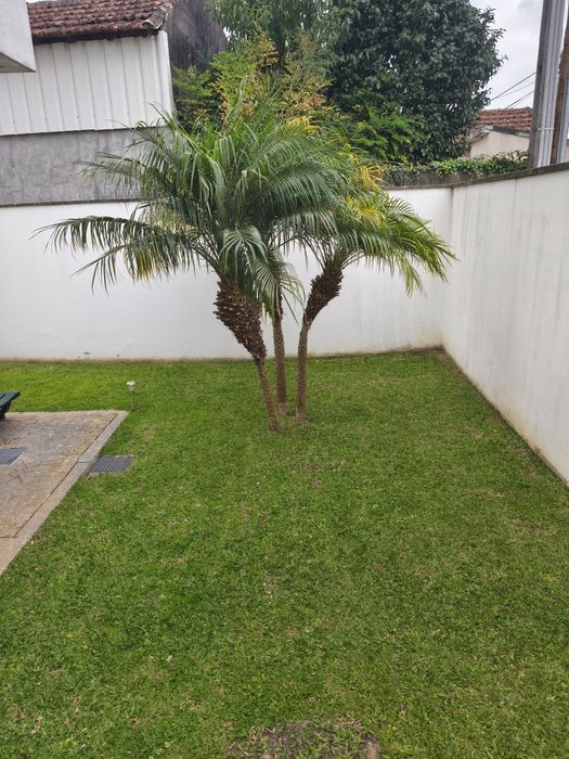Serviços jardinagem