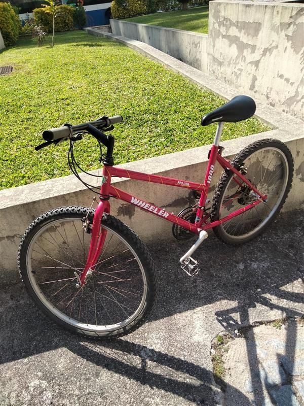 Bicicletas em bom estado – uma de senhora e outra de homem