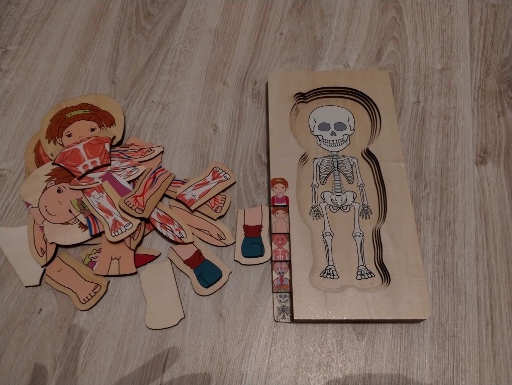 Drewniane puzzle ciało człowieka - wersja dziewczynka