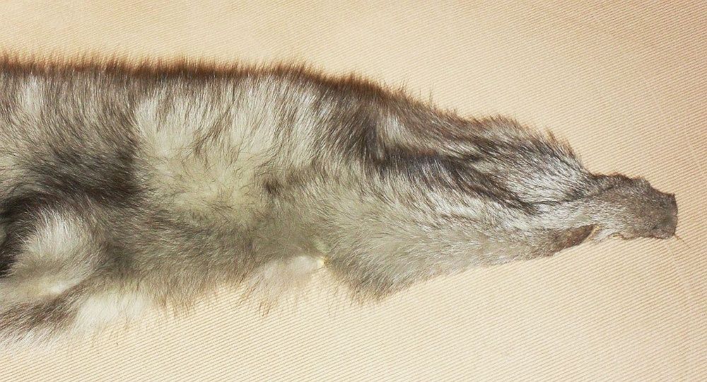 Kołnierz z lisa długość 103 cm, szerokość do 18 cm.