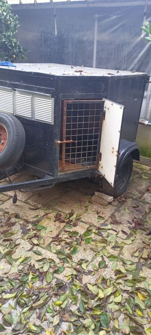 Atrelado  cães 2 divisórias
