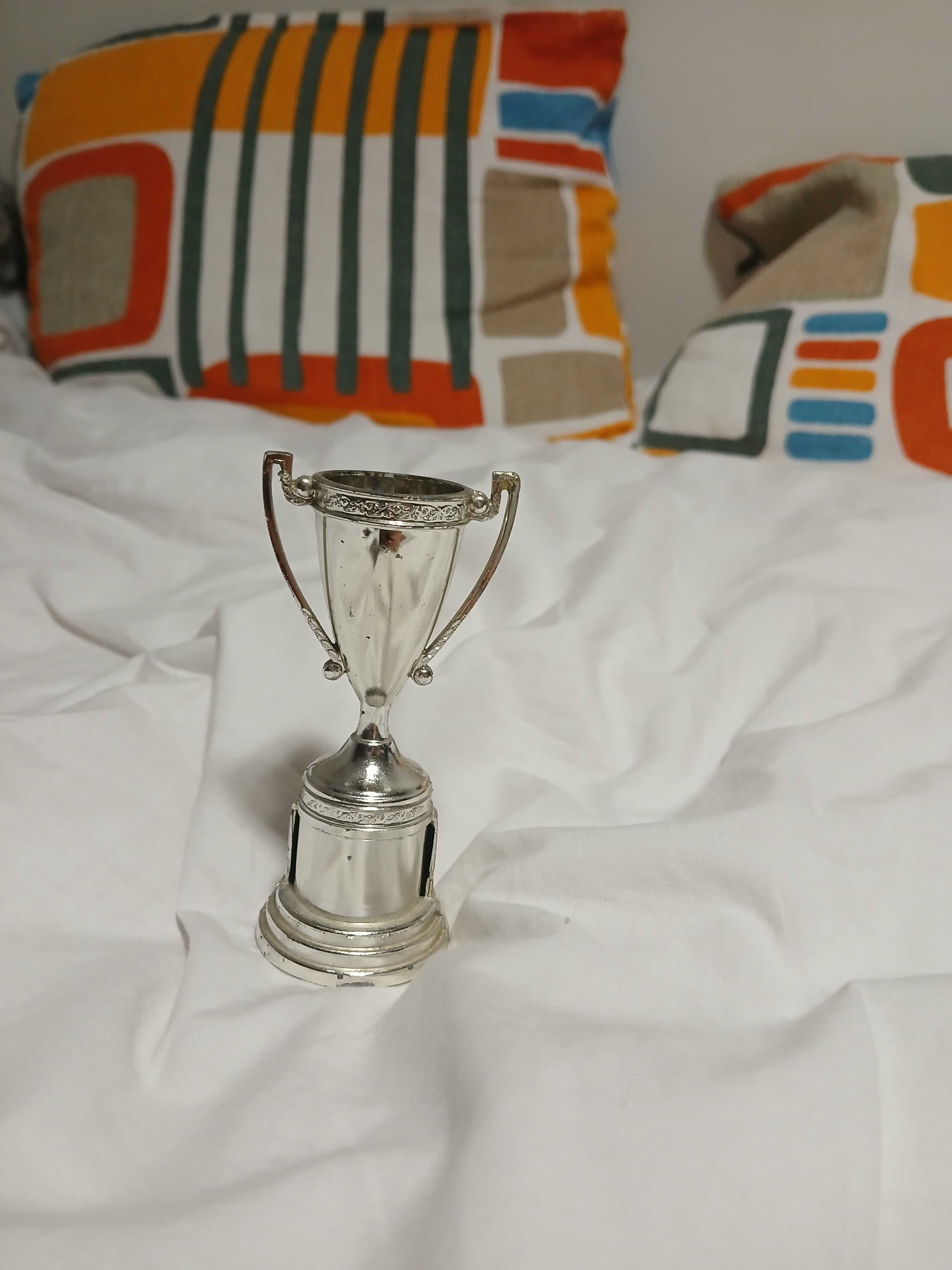 Falso Troféu decorativo