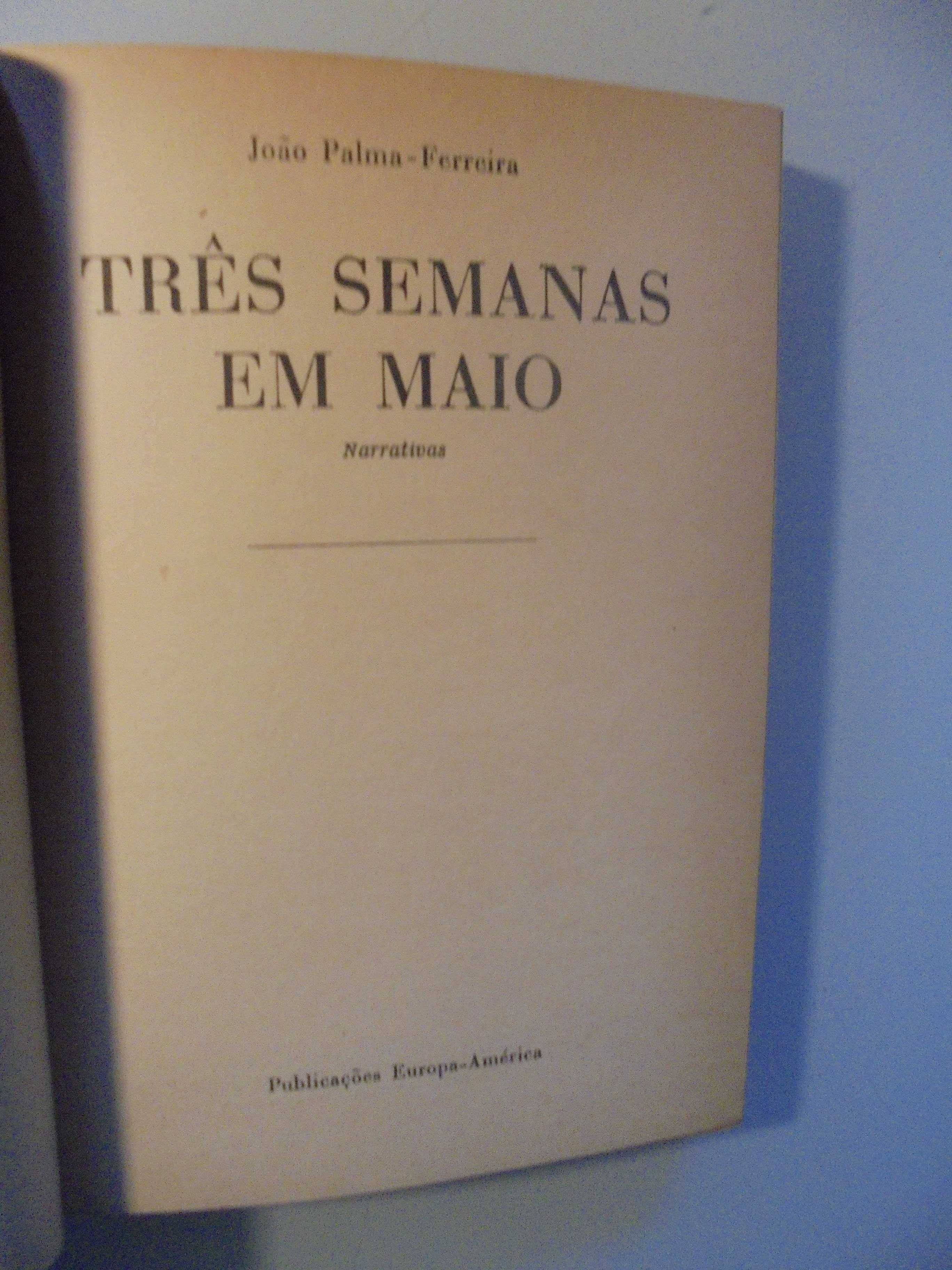 Ferreira (João Palma);Três Semanas em Maio