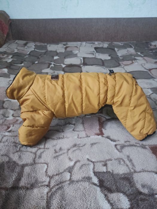 Комбінезон для маленької собачки ( чихуахуа)