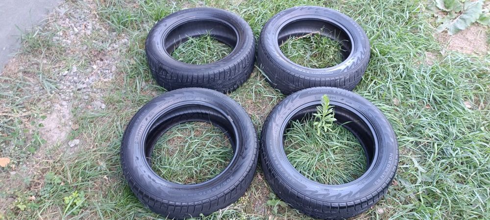Зимня резина NOKIAN 205/55/16