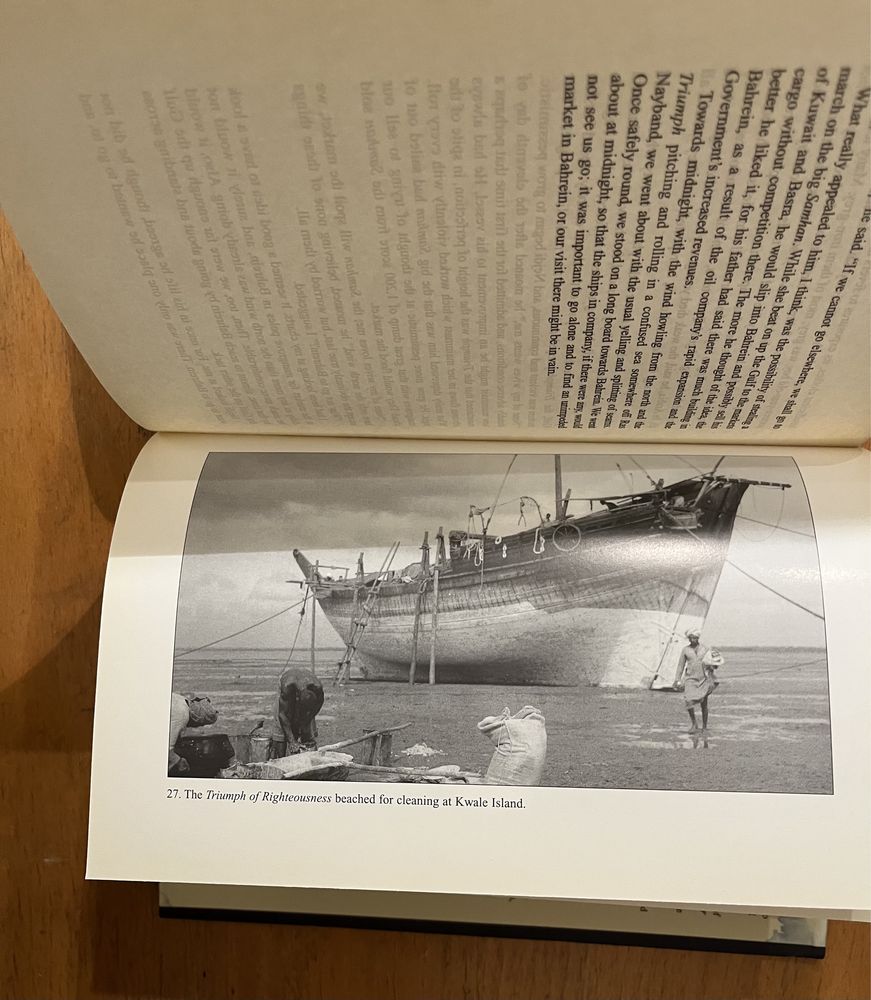 Livro: Sons of Sindbad: NOVO PREÇO