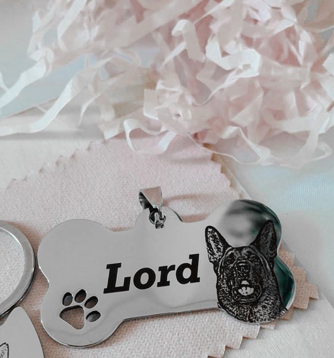 Medalhas de Identificação Personalizadas para Cães e Gatos