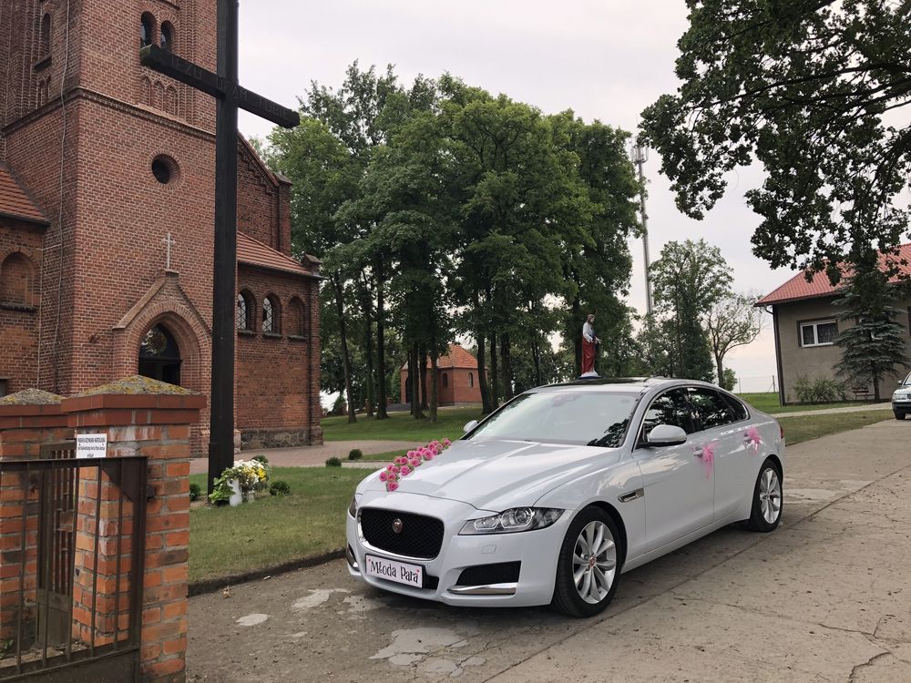 Auto samochód na wesele do ślubu Jaguar Mustang kabriolet Mercedes