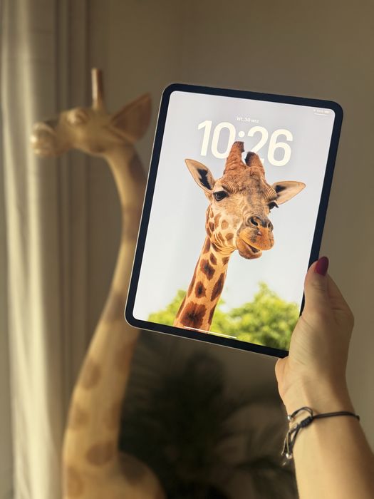 iPad Pro 11” M4 256 GB Wi-Fi – Srebrny | 100% baterii I etui