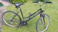 Rower Ital Bike 26'