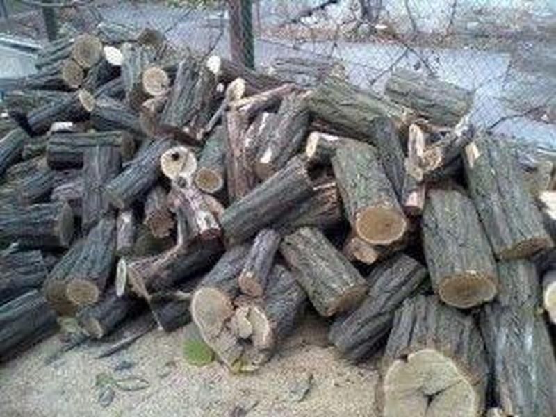 Продам дрова ,обьем и качество гарантирую