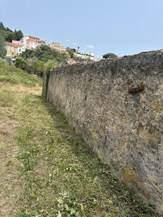 Limpeza terrenos, corte arvores, jardinagem ,trabalhos de maquina