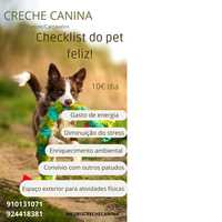 Creche canina - parede/ Carcavelos + Hotel canino