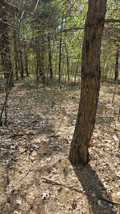 Земельна ділянка 2.4 га