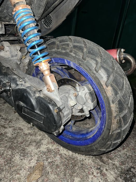 Продам малагути.