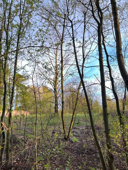 Działka rolno-budowlana Częstochowa Gnaszyn