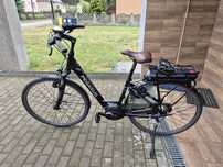 Rower elektryczny pegasus