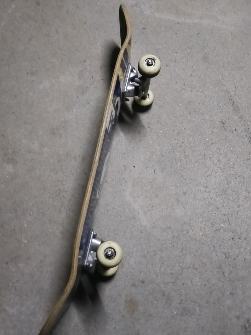 Waveboard e skate