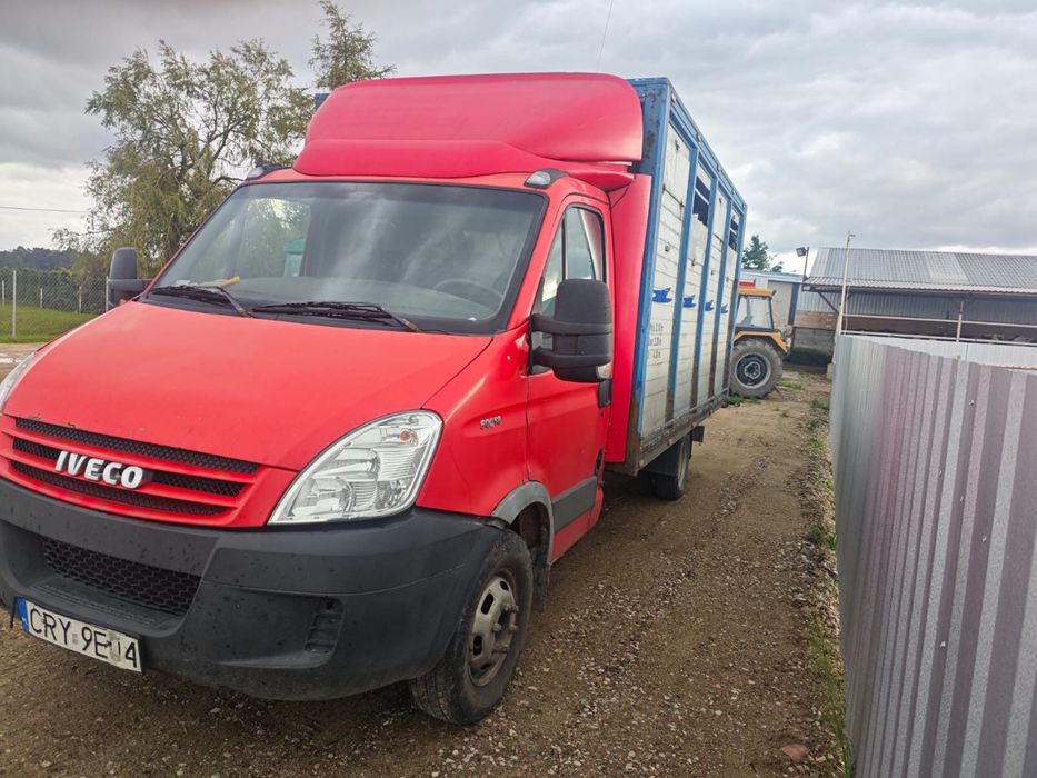 Iveco 50C18 3,5 dmc do żywca/ do zwierząt/ do bydła/ waga
