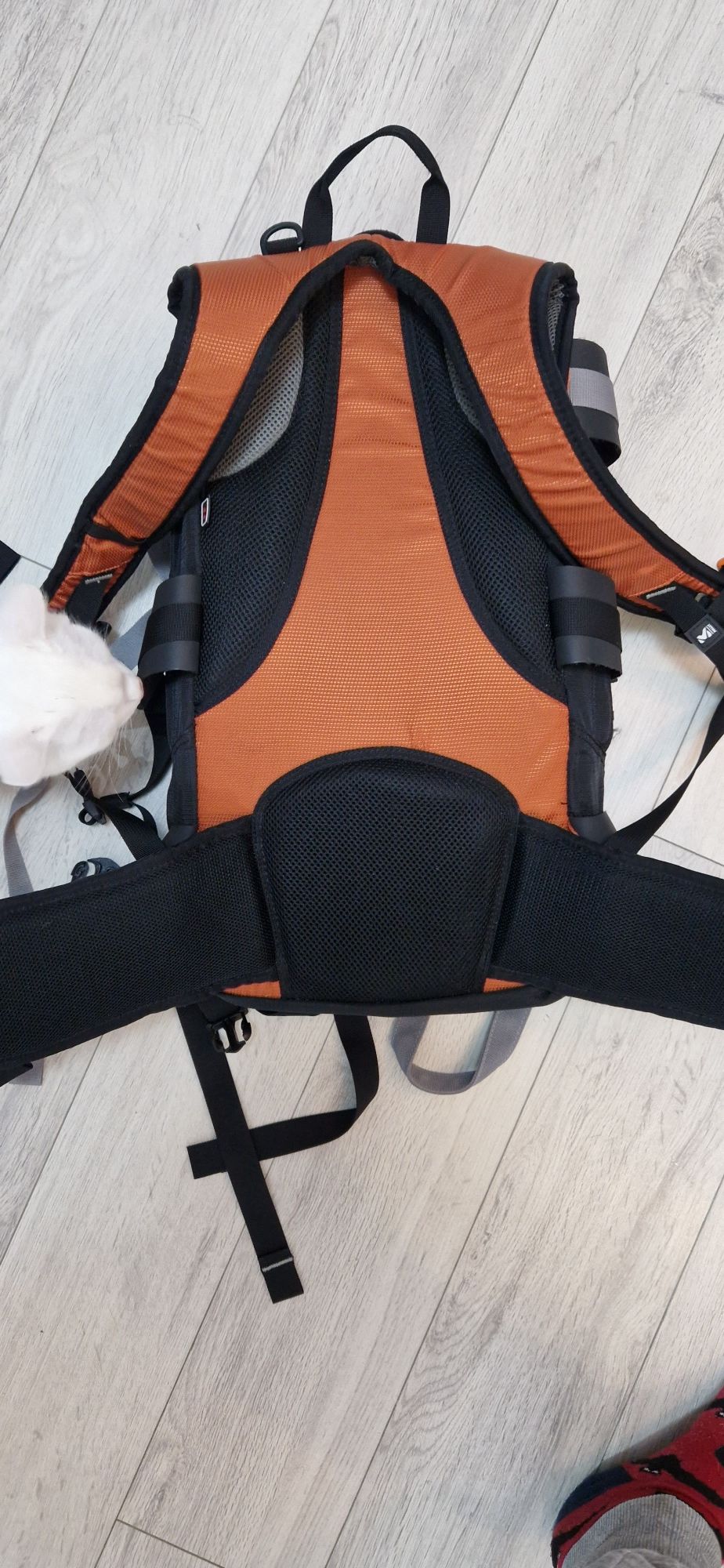 Millet  Totem 20 L