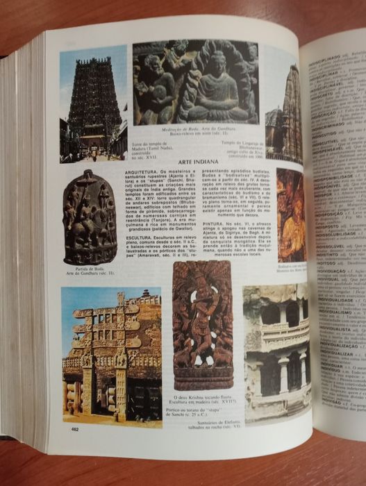Dicionário Ilustrado Koogan Larousse