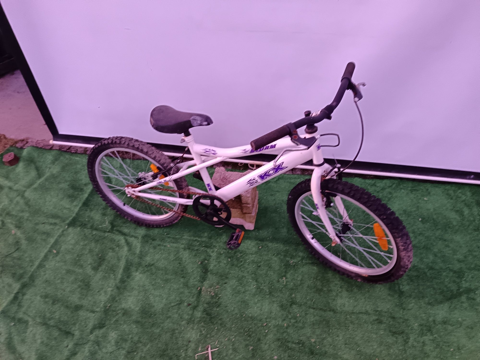 Bicicleta branca