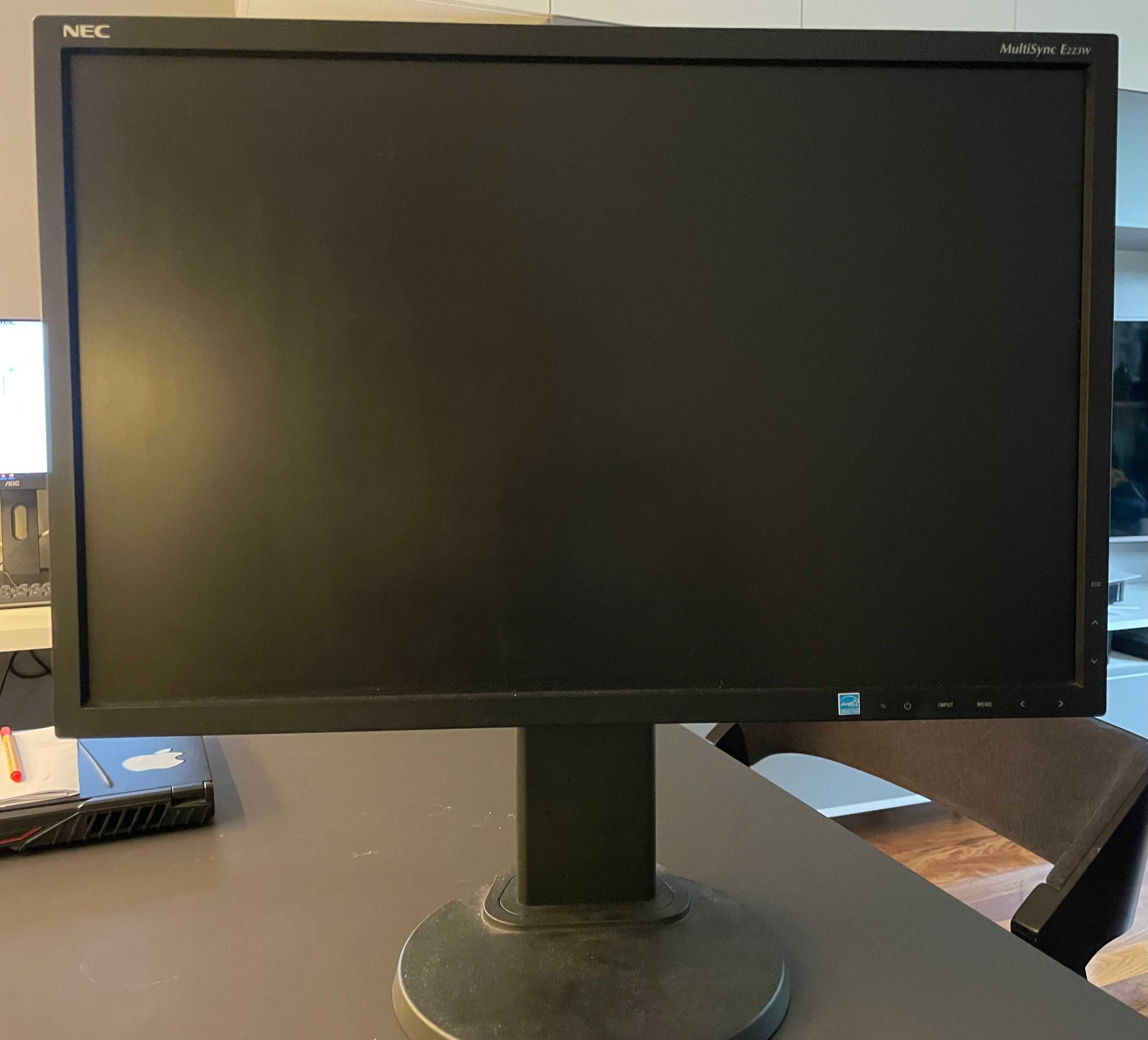 Monitor NEC MultiSync E223W