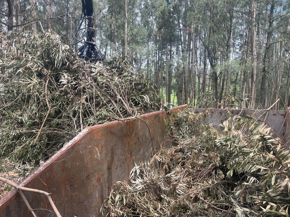 Serviços de grua