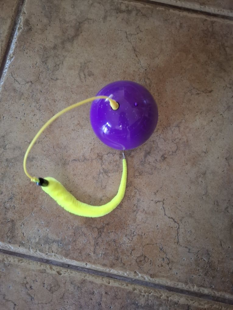 Bola interativa para gato