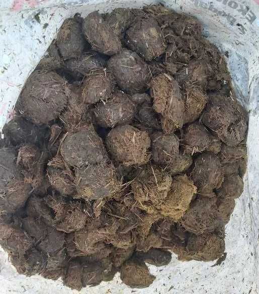 Obornik koński bez słomy