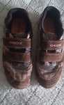 Sapatos Geox Criança