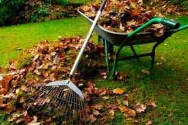 Limpezas Florestais, Agrícolas e Jardins