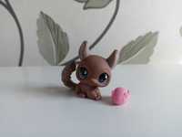 Littlest Pet Shop #799 szynszyl