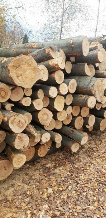 drewno kominkowe i opałowe układane  Chrzanów