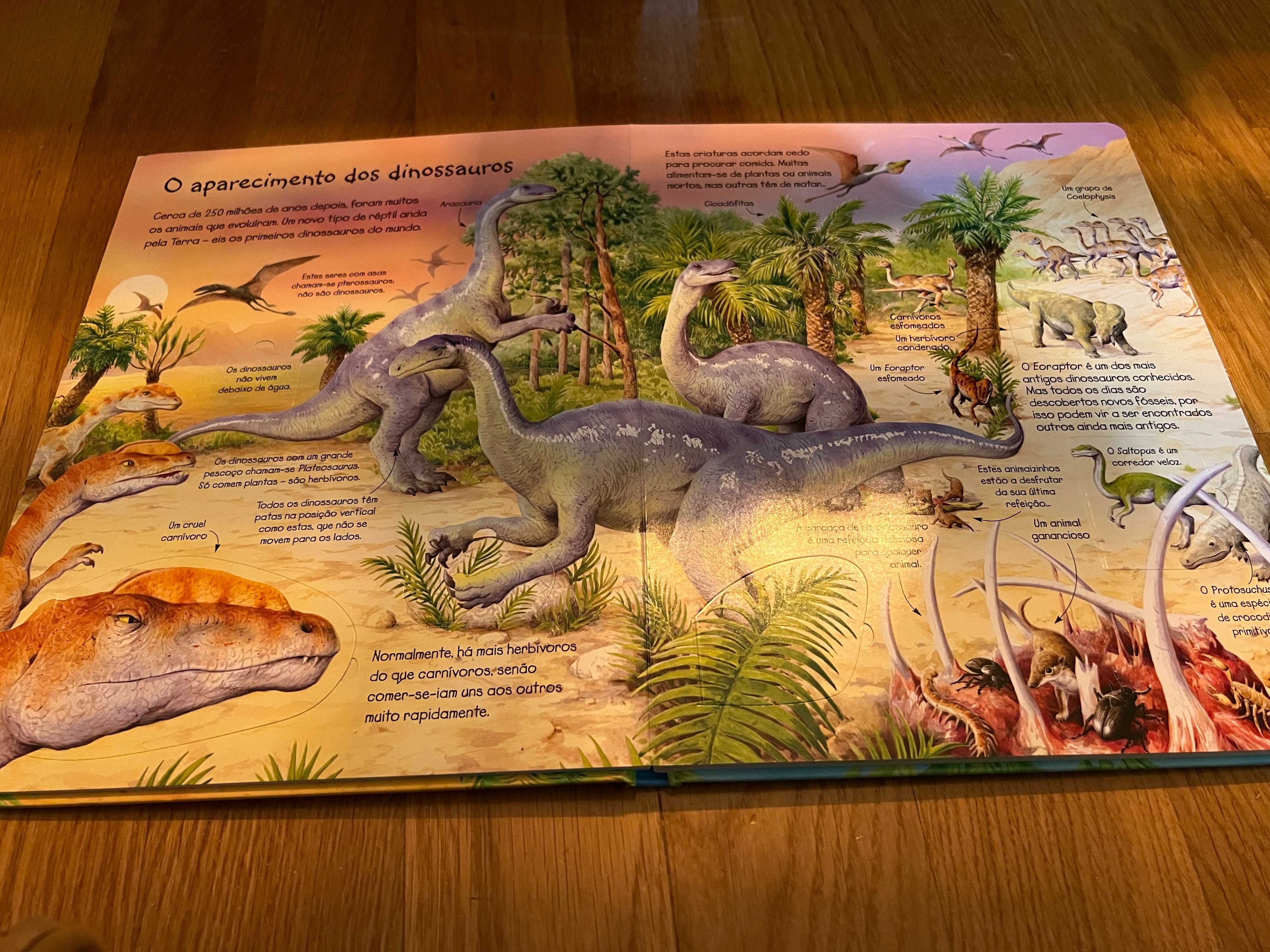 Livro "Espreita o Mundo dos Dinossauros"