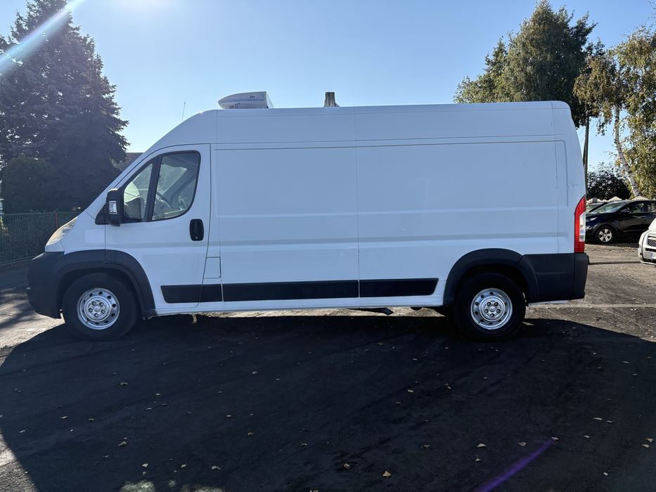 Wynajem Dostawcze Bus Do wynajecia CHŁODNIA IZOTERMA Wypozyczalnia