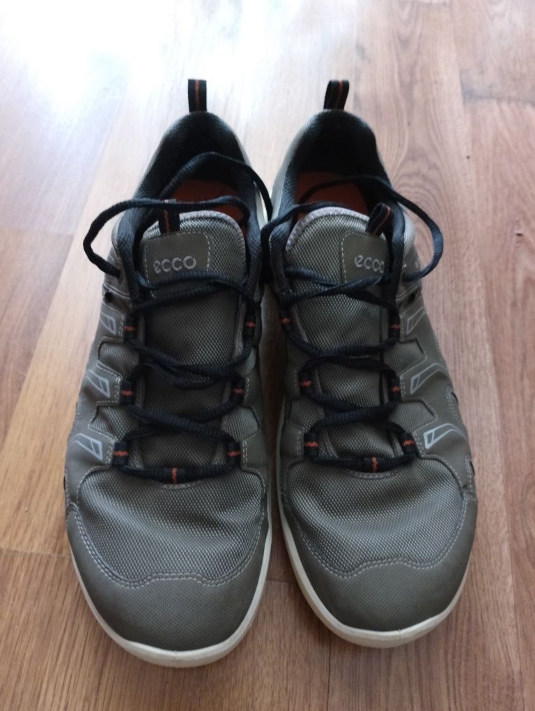 Кросівки чоловічі ECCO Goretex