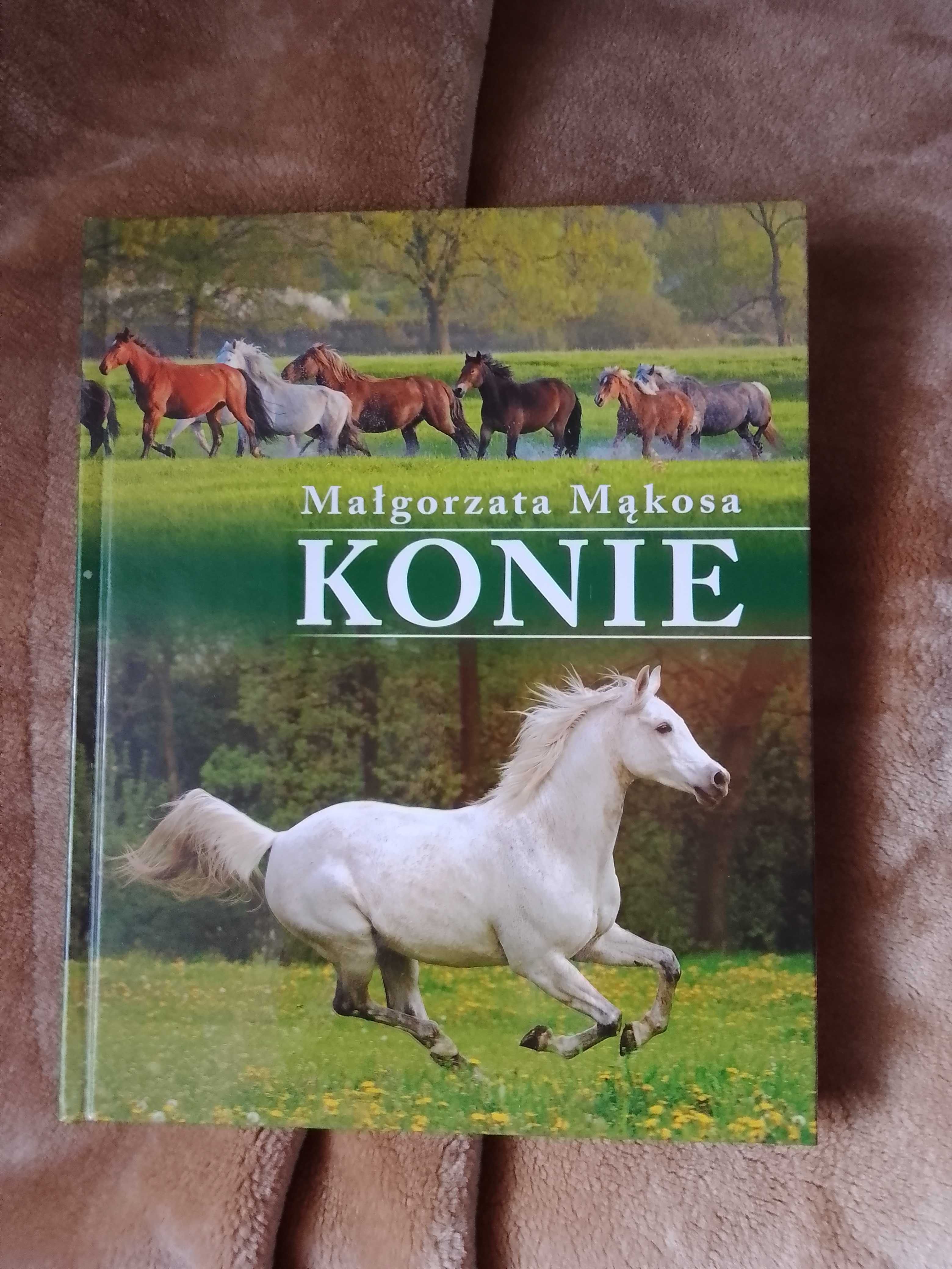 Album Małgorzata Mąkosa KONIE