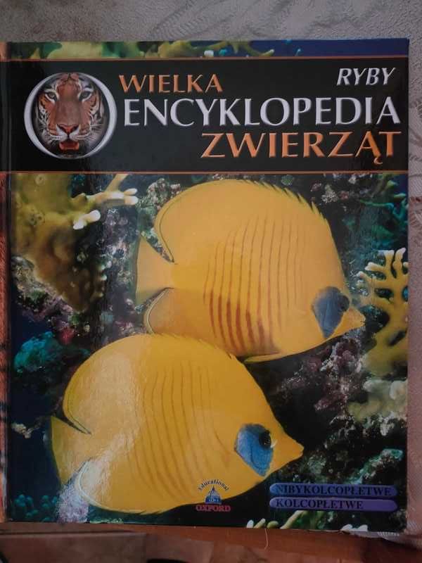 Wielka Encyklopedia zwierząt ryby