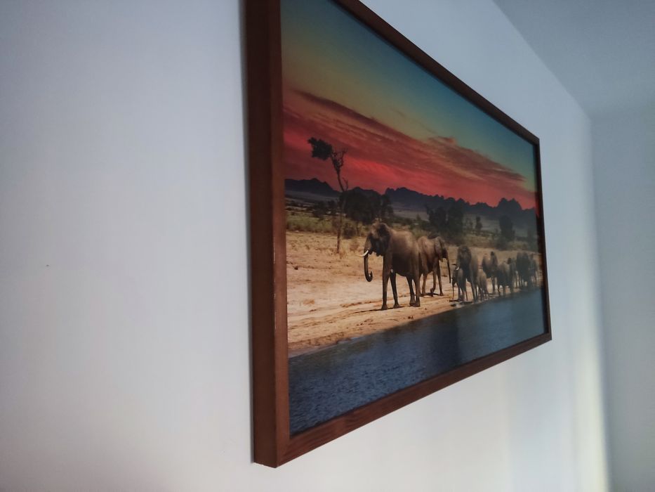 Piękny obraz Słonie nad wodą Duży 103x53 rama drewno