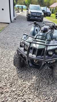 Quad 2010 Access 400 2x4