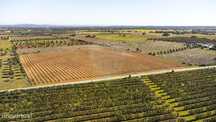 Terreno  para venda