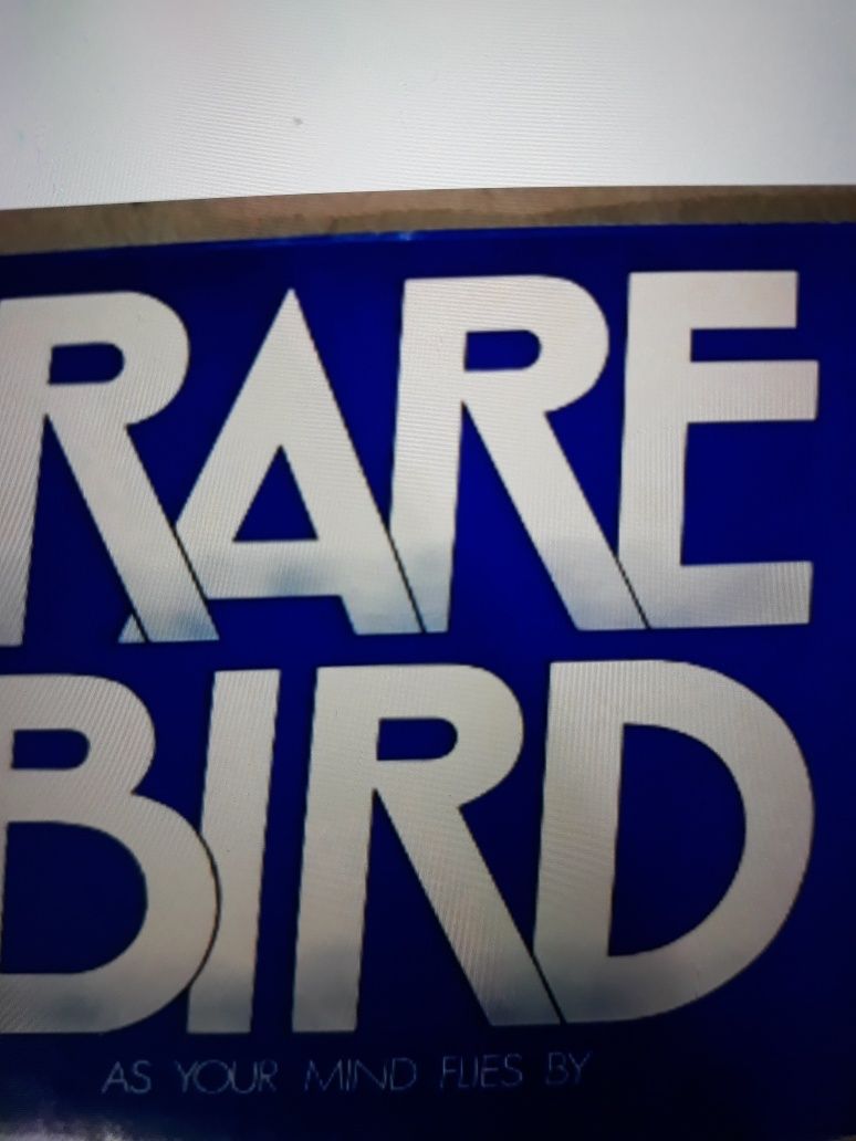 Wykopaliska Prog.Rocka RARE BIRD- As Your Mind Flies. 1970