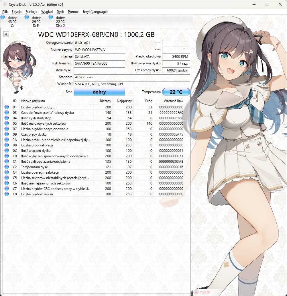 Server NAS Thecus N2520 + 2x1TB WD RED - sprawny, skonfigurowany RAID1