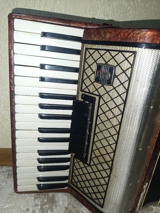 Акордеон Заря 2 .