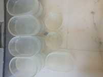 Comedouros  taças ovais