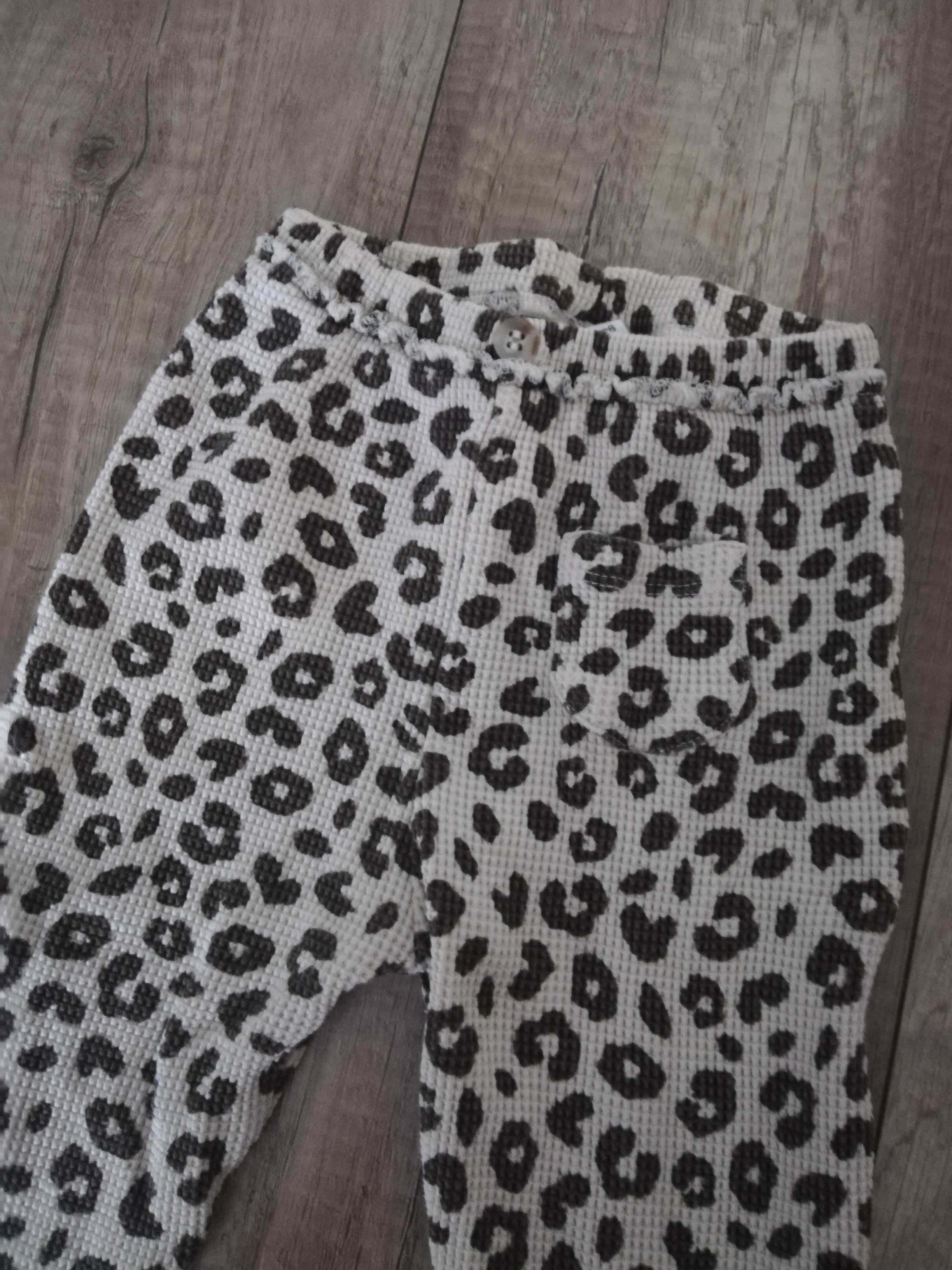 Legginsy firmy Zara w rozmiarze 98cm